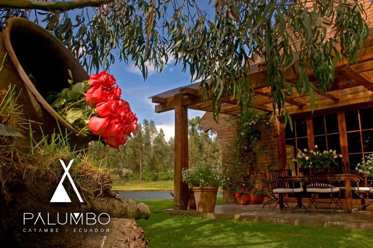 Palumbo Glamping & Villas Cayambe Exterior photo